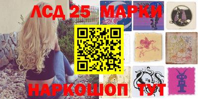 прущие крисы Кингисепп