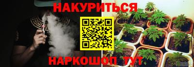 прущие крисы Кингисепп