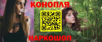прущие крисы Кингисепп