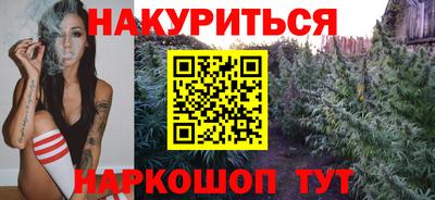 прущие крисы Кингисепп