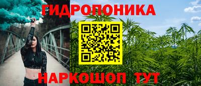 спиды Кимры