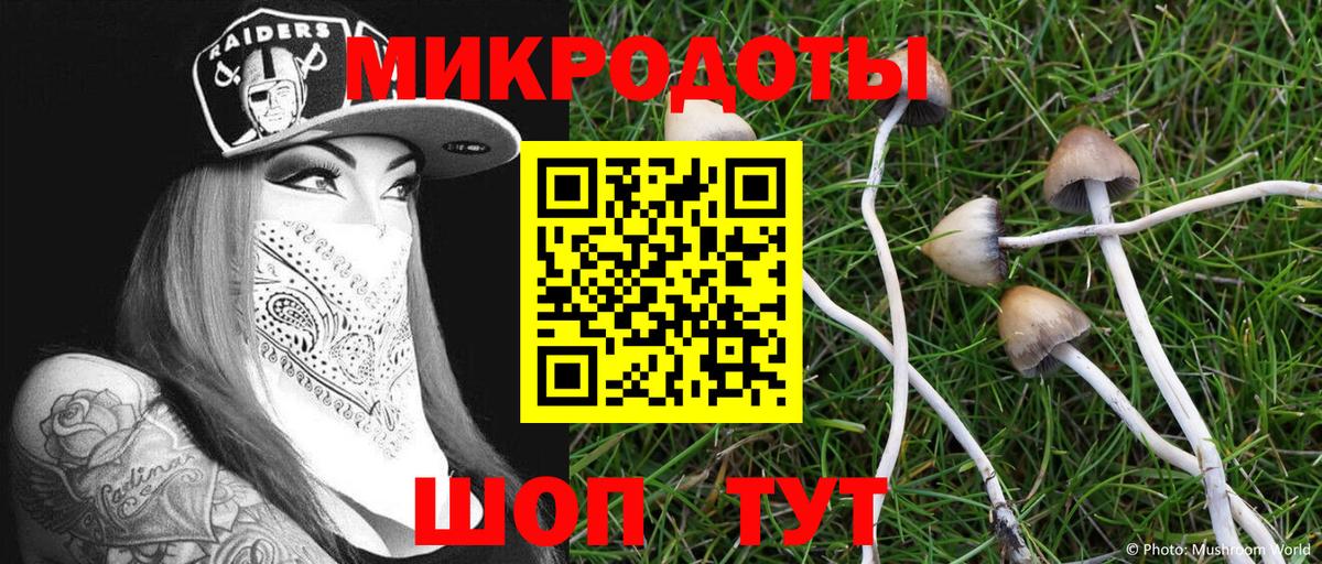 Галлюциногенные грибы Magic Shrooms Коммунар